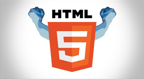 HTML Pro